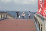 海釣り公園入場券プレゼント

